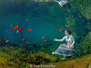 Magic garden. by Uwe Schmolke 